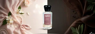 آیا عطرها واقعاً جنسیت دارند؟ | بررسی علمی تفاوت عطر زنانه و مردانه